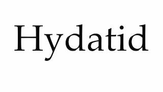 How to Pronounce Hydatid [upl. by Eimrots]