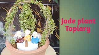 Jade plant Topiary  Miniature garden ideas  Balcony decor [upl. by Nesilla]