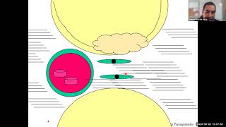 Clase 27  Síndrome Pulmonar Intersticial [upl. by Nennarb130]