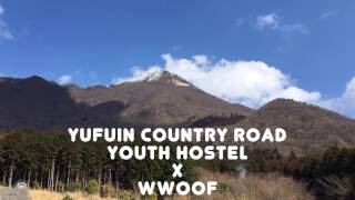 wwoofing at Yufuin Country Road Youth Hostel [upl. by Yotal]