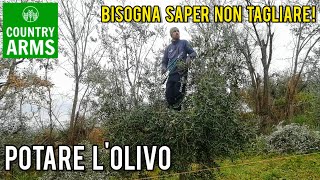 Potare lolivo bisogna saper non tagliare Episodio 4 [upl. by Joby]