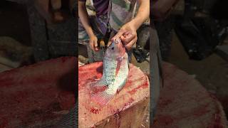 Astonishing Perfect Size Tilapia Fish Cutting Skills In Bangladesh 🫢😱 shorts [upl. by Oicneserc]