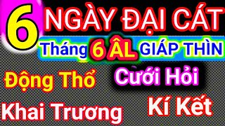 Lịch Ngày Tốt Tháng 6 Âm Lịch Năm 2024 Khai Trương Cưới Hỏi Động Thổ Cậu Thành Tử Vi Tướng Số [upl. by Eppesiug55]