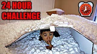 OVERNIGHT IN 1000000 PACKING PEANUTS  24 Hour Challenge [upl. by Aicitel]