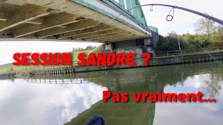 Je voulais pêcher le SANDRE mais pêcheauleurre carnassier [upl. by Nnek]