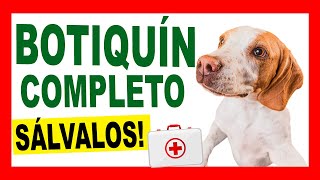 Medicamentos Esenciales para un BOTIQUÍN VETERINARIO en Casa [upl. by Weiler]