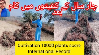 Blochestan  crop cultivation  vlog  Forest amp hills Area sindhpakistan [upl. by Fleece]