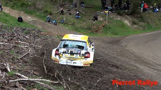 Rallye Rhône Charbonnière 2024 Day 2  Show and Mistakes  Pierrot Rallye [upl. by Betta]