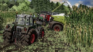 Maize silage harvest in EXTREME MUD  Every tractor get stuck  Farming Simulator 22 [upl. by Ecirehc]