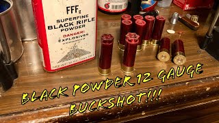 Black Powder 12 Gauge With Paper Hulls [upl. by Idnahs491]