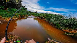 Pesca en CHARCA de Agua Dulce GRANDES Sorpresas  Pescando en Puerto Rico [upl. by Cassidy999]