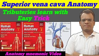 Superior vena cava । superior vena cava in hindi । Anatomy mnemonic । Ayurveda Study । [upl. by Belding252]