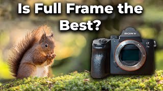 What Is The Best Sensor Size For Wildlife Photography [upl. by Aynatahs114]