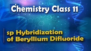 sp Hybridization of Beryllium Difluoride  Nature of Chemical Bond  Chemistry Class 11 [upl. by Airtemad]