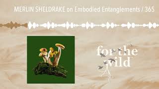 MERLIN SHELDRAKE on Embodied Entanglements  365 [upl. by Jelle]