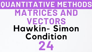 24 Hawkin Simon Condition InputOutput Analysis Leontief Model MEC103  Kanishka Luthra [upl. by Ilesara]