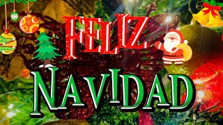 Feliz navidad para ti Abre este hermoso mensaje Frases bonitas de navidad [upl. by Ahasuerus543]