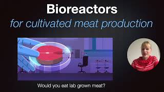 Bioreactors for cultivated meat production [upl. by Noir]