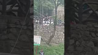 Nathia Gali danishkada786 foryou viralvideo youtube ytyoutube tour swat galiyat [upl. by Jeni]