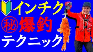 【インチク初心者】 僕の最強タックルじゃないと根魚爆釣テクニックが使えません【キジハタ・アコウ】 [upl. by Eixela69]