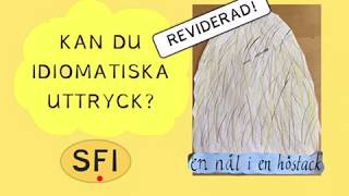 Idiomatiska uttryck Sfi [upl. by Uyr636]