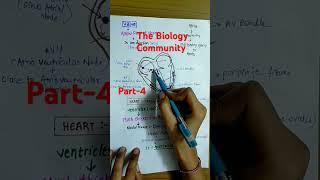 HUMAN CIRCULATORY SYSTEM PART4class11biologyneetbiologyneet2025shortsbodyfluidsampcirculationyt [upl. by Aropizt186]