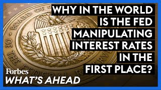 Why In The World Is The Fed Manipulating Interest Rates In The First Place [upl. by Ased]