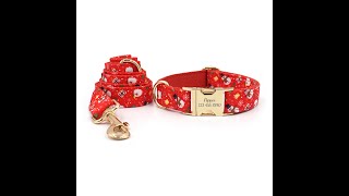 Personalized Christmas Dog Collars 2024 [upl. by Adnik]