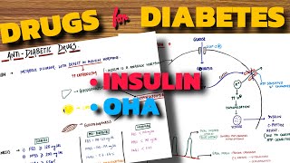 DRUGS FOR DIABETES  Insulin  OHA  Pharmacology [upl. by Leahey996]