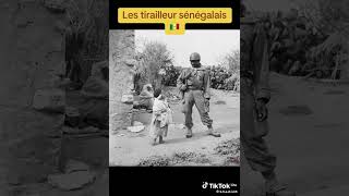 Le massacre des tirailleurs sénégalais perpétré par la France en 1944 à Thiaroyeplaie incurable [upl. by Erdnael477]