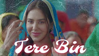 Tere Bin audio songNew Punjabi sad song [upl. by Sybille270]