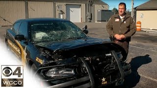 County Sheriff Hits Deer with Squad Car [upl. by Latea]