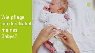 Tipps zur Nabelpflege 👶 Babys erste Tage ElternGuide der Privatklinik Goldenes Kreuz [upl. by Ahtan205]