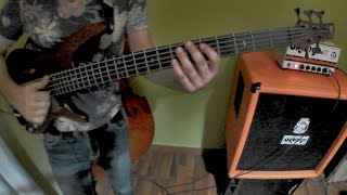 Fusion SLAP BASS with IBANEZ SR 505 [upl. by Gurias395]