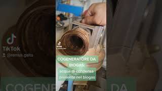 SOS COGENERAZIONE attenzione allacqua presente nel biogas [upl. by Ylrebmic]