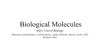 MONOMERS AND POLYMERS AQA ALevel Biology amp Exam Style Question [upl. by Emil730]