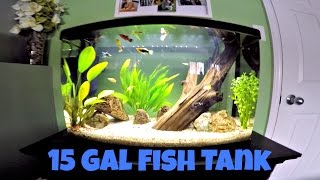 15 Gallon Freshwater Aquarium Setup Using Live Plants [upl. by Kakalina]