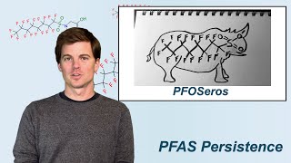 Three Things to Know About PFAS Part 1 Persistence [upl. by Assilaj]