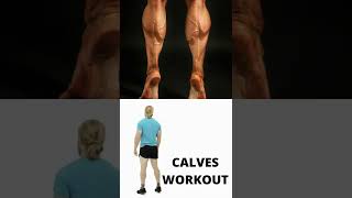 CALVES WORKOUT FOR MEN AT HOME [upl. by Alfons]