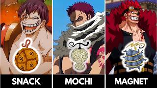 All Paramecia Devil Fruit Powers One Piece [upl. by Xavler221]