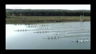 ECA Sprint European Championship Racice 2015  Final A K4 Women 500m [upl. by Ert31]