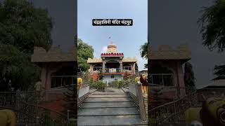 नाथल दाई मंदिर  Maa Chandrahashini Mandir Chandrapur चंद्रहासिनी मंदिर चंद्रपुर [upl. by Elizabet]