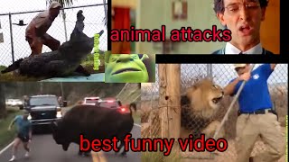 animal attack comedy 😱😱√video this video and please subscribe my YouTube channel🥰 [upl. by Patrice]