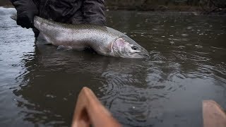 Catching STEELHEAD In The Most INSANE Rainstorm EVER [upl. by Ennahgem87]