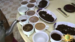 Cupping Coffee in Ethiopia [upl. by Yrrok]