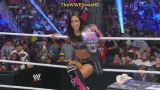 AJ Lee vs Natalya SmackDown June 28th 2013 HD [upl. by Nohtan982]