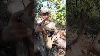 Bowhunting Missouri Whitetails [upl. by Muir]