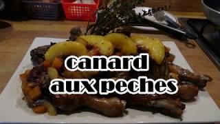 canard aux peches [upl. by Ecienahs623]