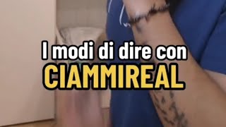 I modi di dire tra Nord e Sud  Parte 2  La parte 1 negli short  CIAMMIREAL [upl. by Aniv]