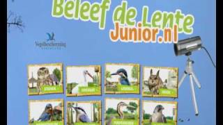 Promo Beleef de Lente Junior 2011 [upl. by Dazraf923]